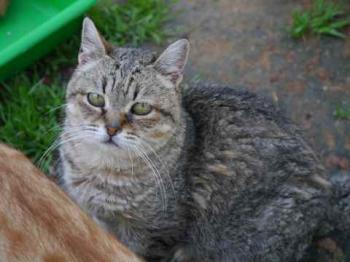 Bild von Patita