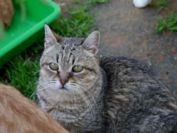 Bild von Patita