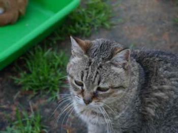 Bild von Patita