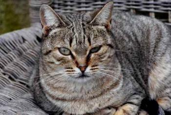 Inga Bild von Inga