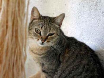 Inga Bild von Inga