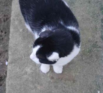 Rocky Bild von Rocky