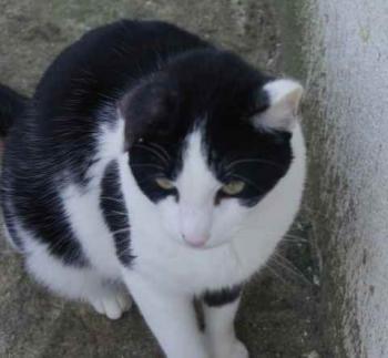 Rocky Bild von Rocky