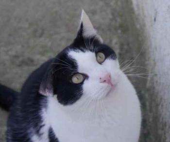 Rocky Bild von Rocky