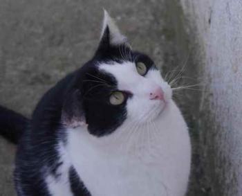 Rocky Bild von Rocky