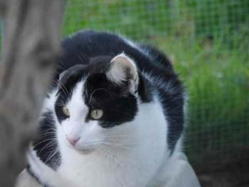 Rocky Bild von Rocky