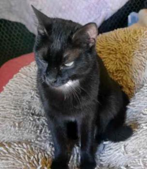 Bild von Flo