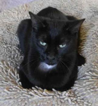 Bild von Flo