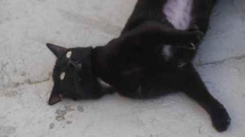 Bild von Flo