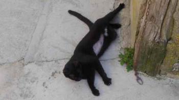 Bild von Flo