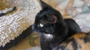 Bild von Flo