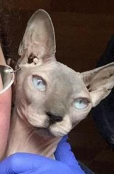 Harry Bild von Harry