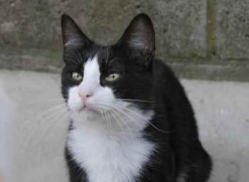 Bild von Dayo