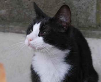 Bild von Dayo