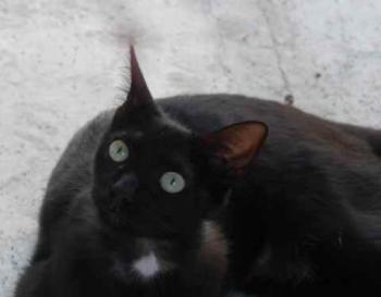 Bild von Flo