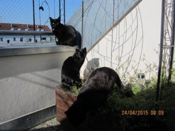 Nono Bild von Nono