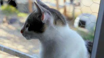 Pequita Bild von Pequita