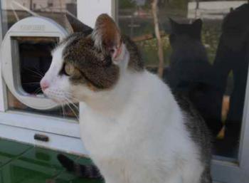 Pequita Bild von Pequita