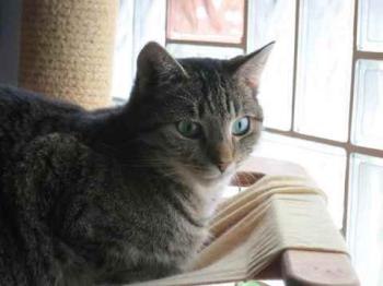 Charleen Bild von Charleen