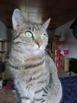 Charleen Bild von Charleen
