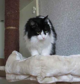 Layla Bild von Layla