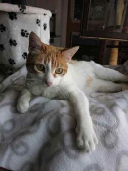 Mandy Bild von Mandy