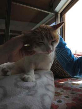Mandy Bild von Mandy