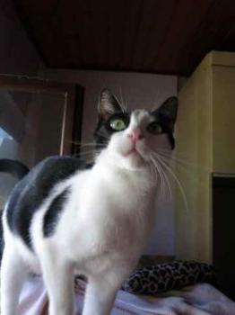Amieto Bild von Amieto
