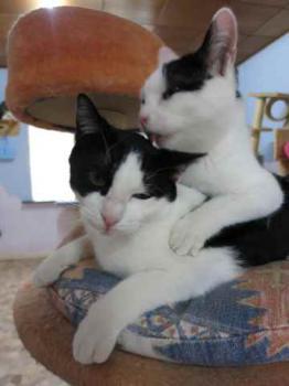 Amieto Bild von Amieto