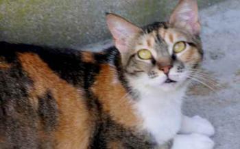 Marie Bild von Marie