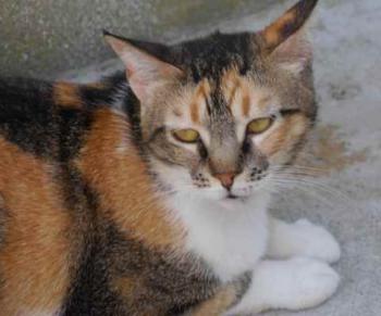 Marie Bild von Marie