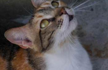 Marie Bild von Marie