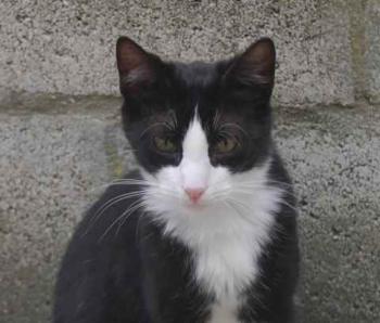 Bild von Dayo