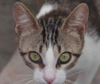 Cherie Bild von Cherie