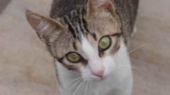 Cherie Bild von Cherie