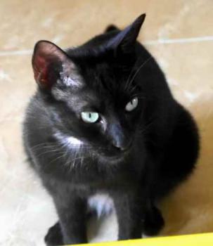 Bild von Flo