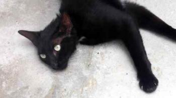 Bild von Flo
