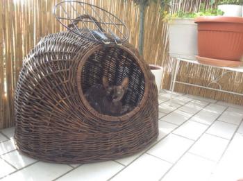 Marie Bild von Marie