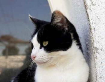 Bild von Fenja