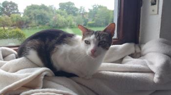 Cuqui Bild von Cuqui