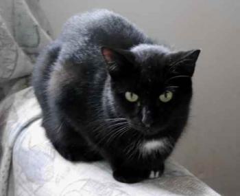 Bild von Sally