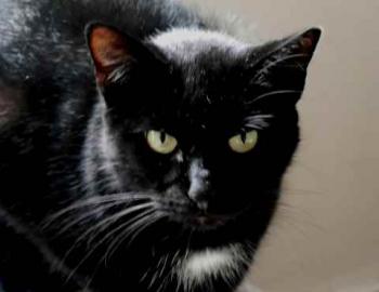 Bild von Sally