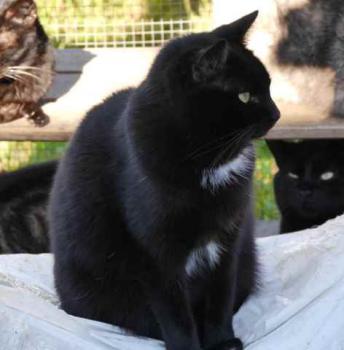 Bild von Sally