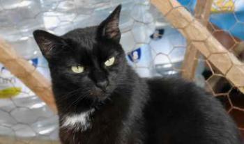 Bild von Sally