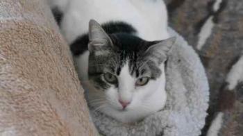 Penny Bild von Penny