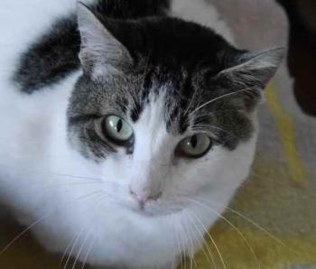 Penny Bild von Penny