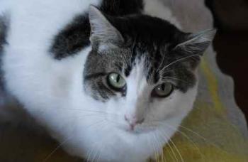 Penny Bild von Penny