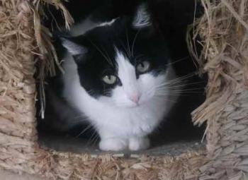 Paloma Bild von Paloma