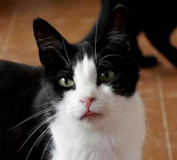Polly Bild von Polly