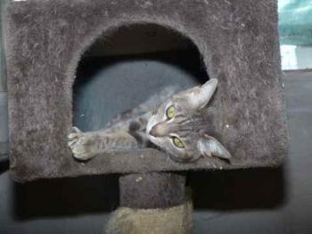 Bild von Gilda